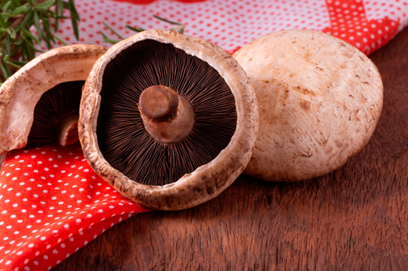 CHEFGOURMET-08-27-19-web