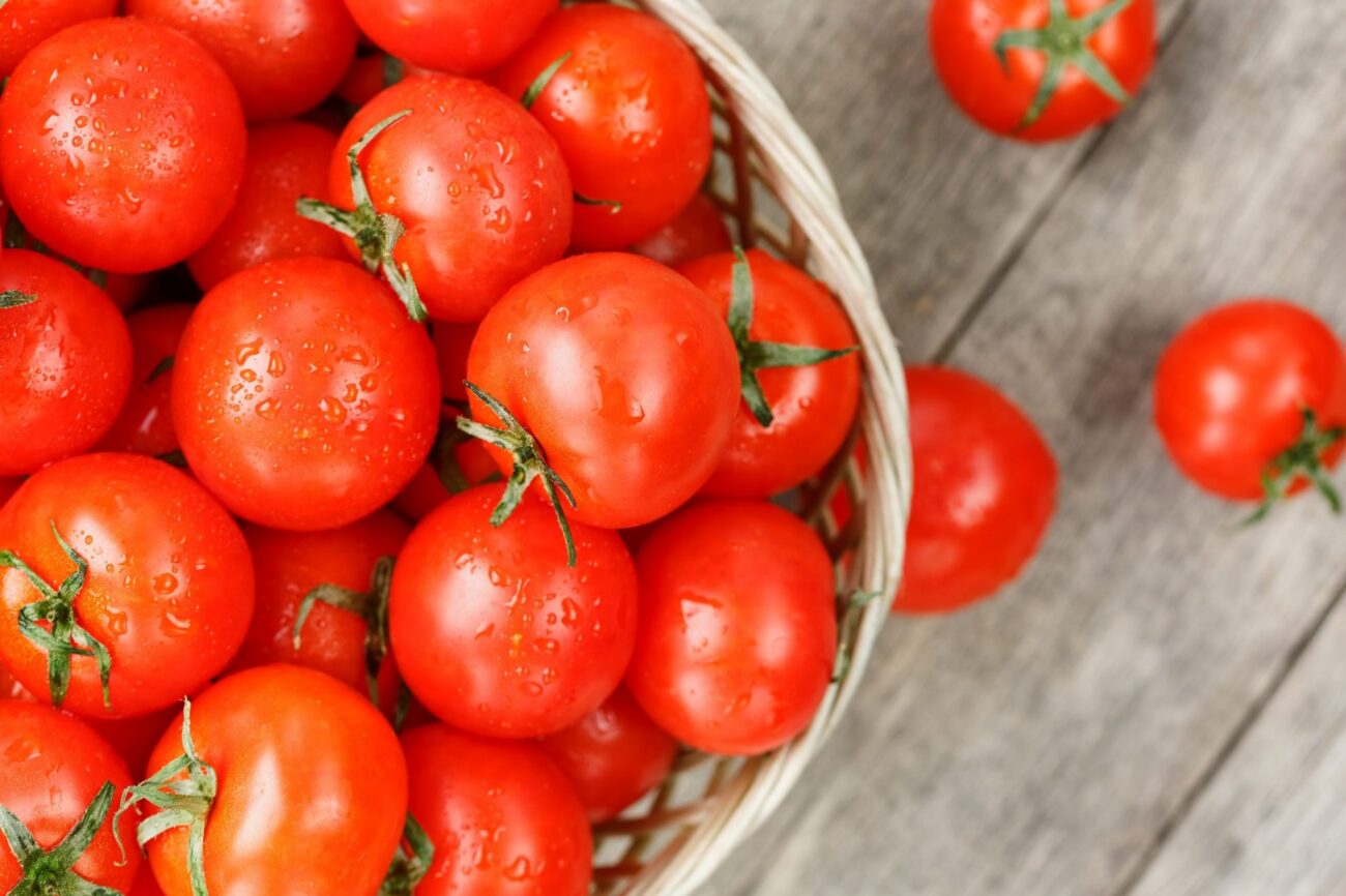 How tomatoes conquered the world.