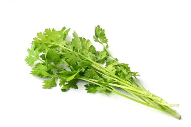 What Is the difference between Coriander and Cilantro?