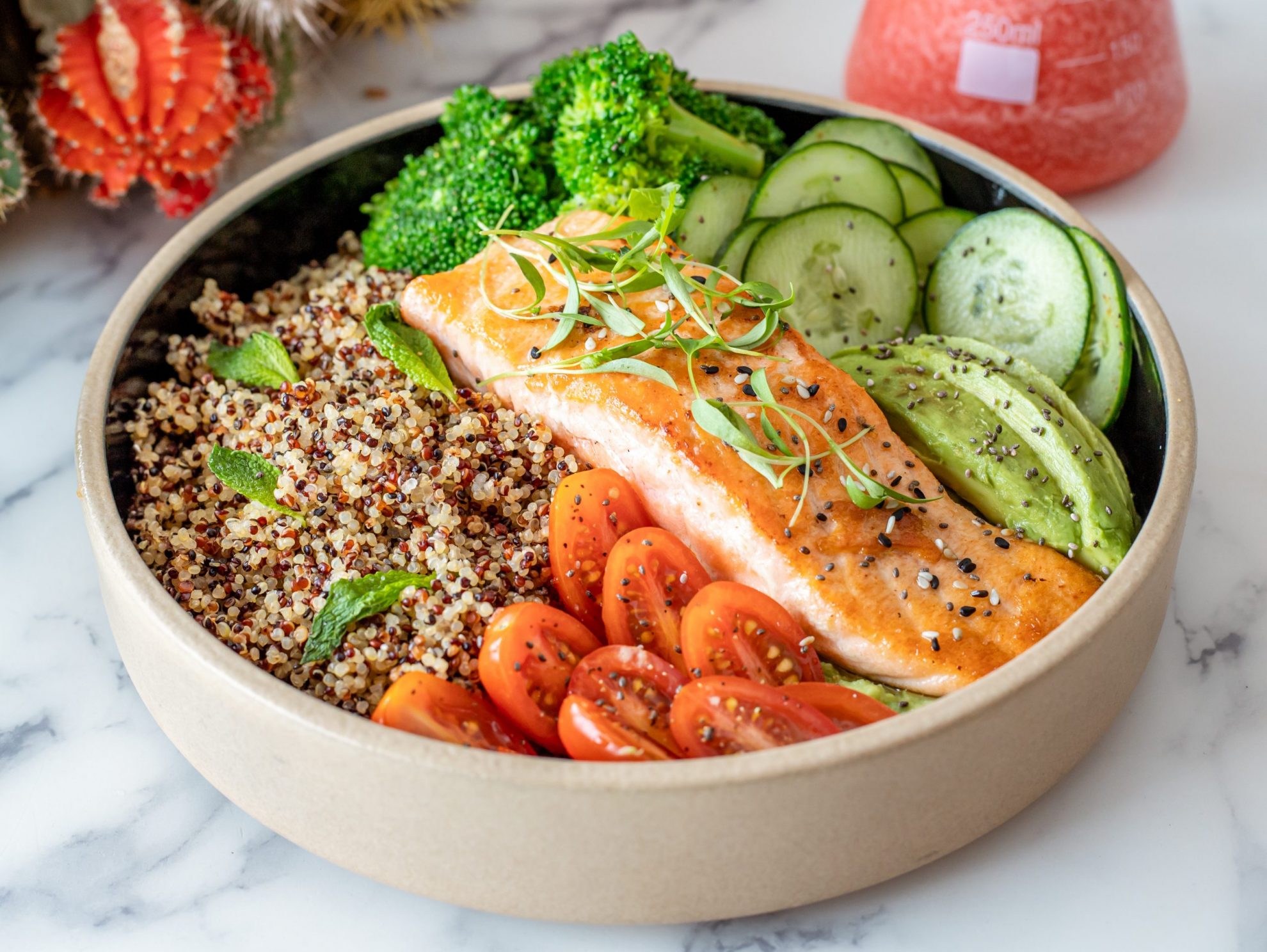 Plate of quinoa with salmon illustrates blog: "Can You Freeze Quinoa?"