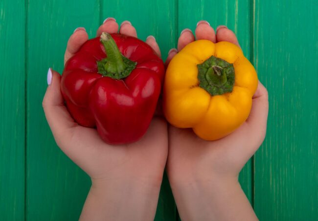 Closeup of person holding a bell pepper in each hand illustrates blog: "Is a Bell Pepper a Fruit or a Vegetable?"