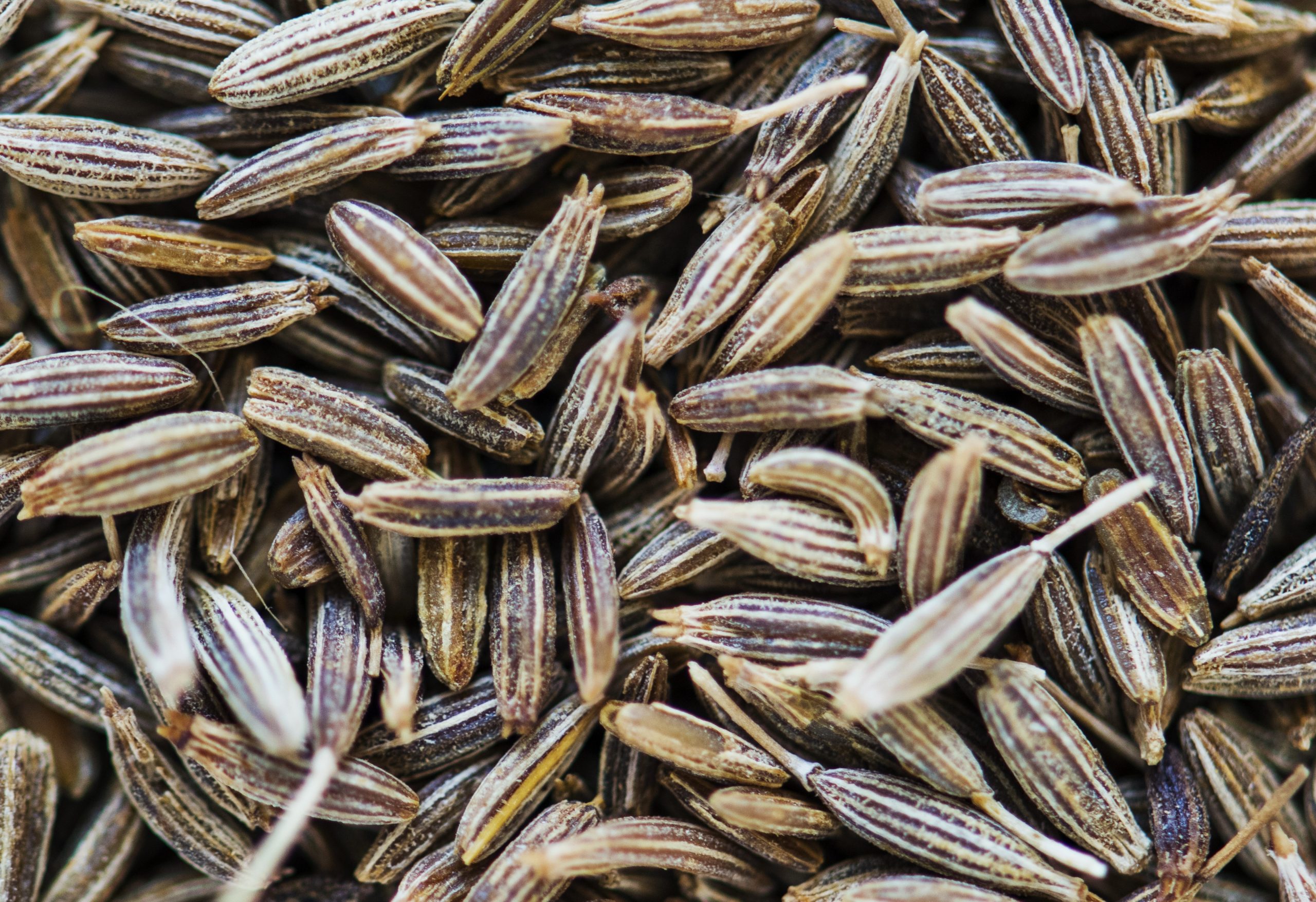 cumin-rawpiel Closeup of cumin seeds illustrates blog "Is Cumin a Spice or Herb?"