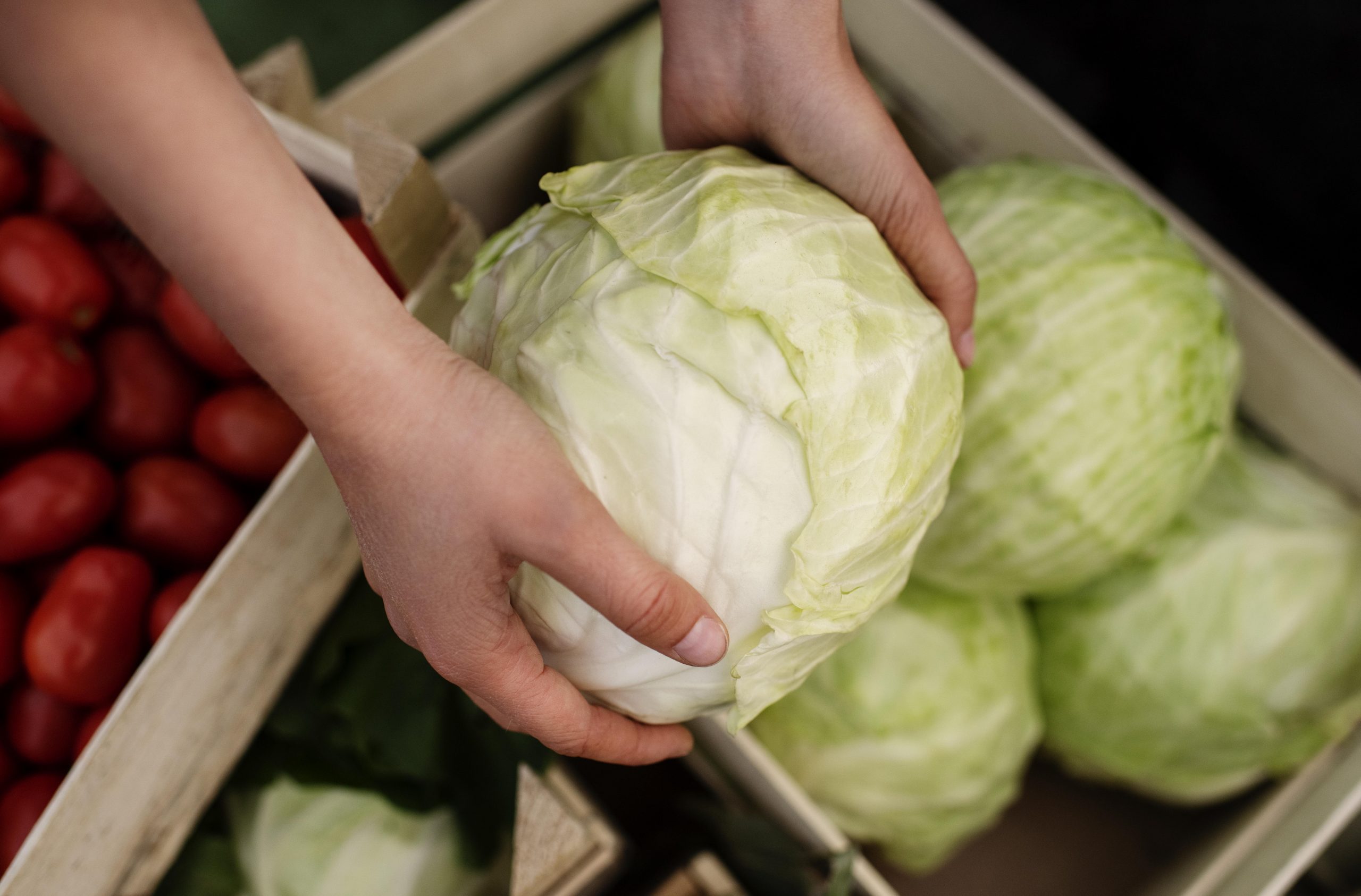 iceberg-lettuce2fp Man holding lettuce head illustrates blog "What Is a Wedge Salad?"