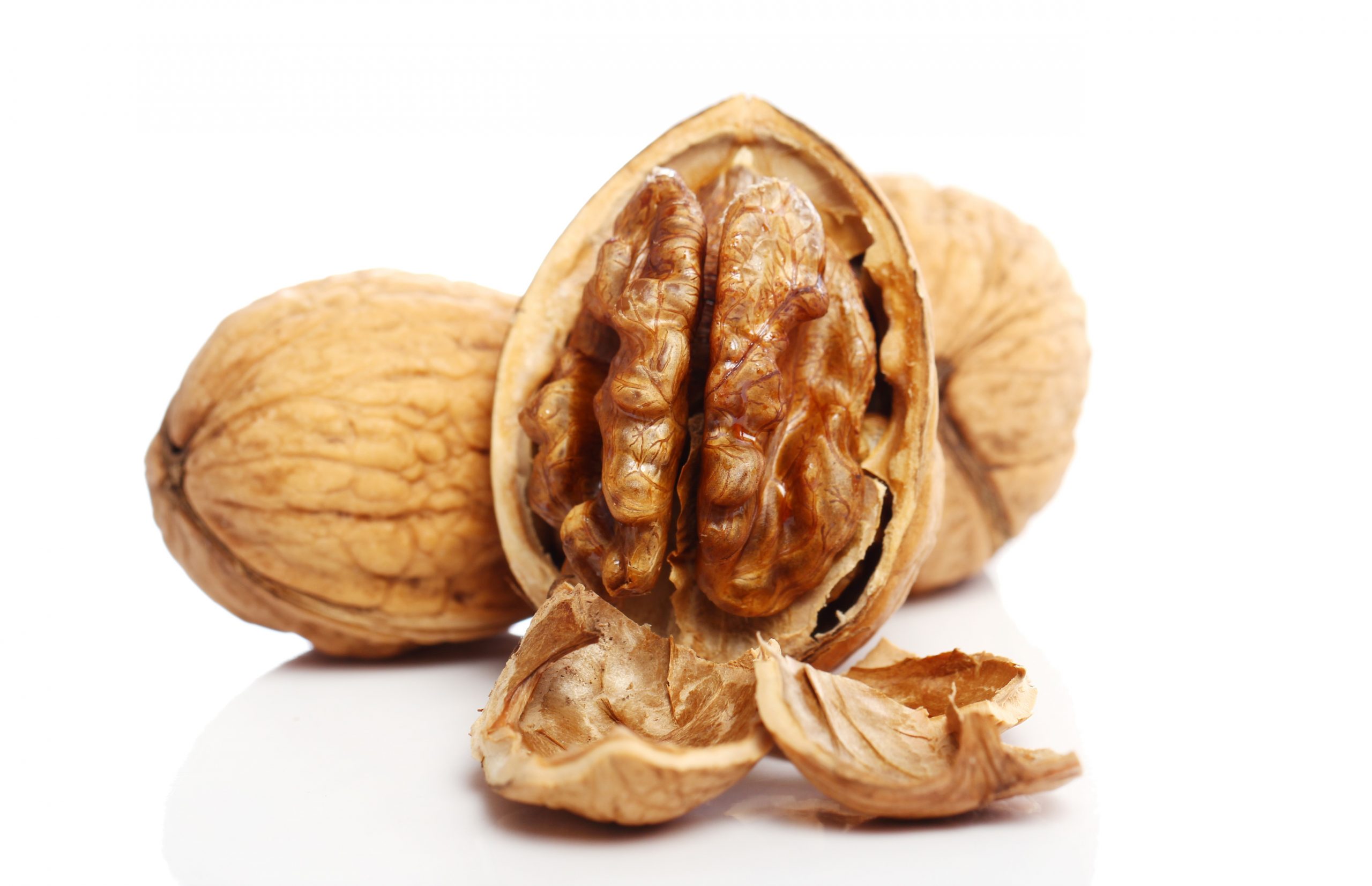 pecans_racool_studio