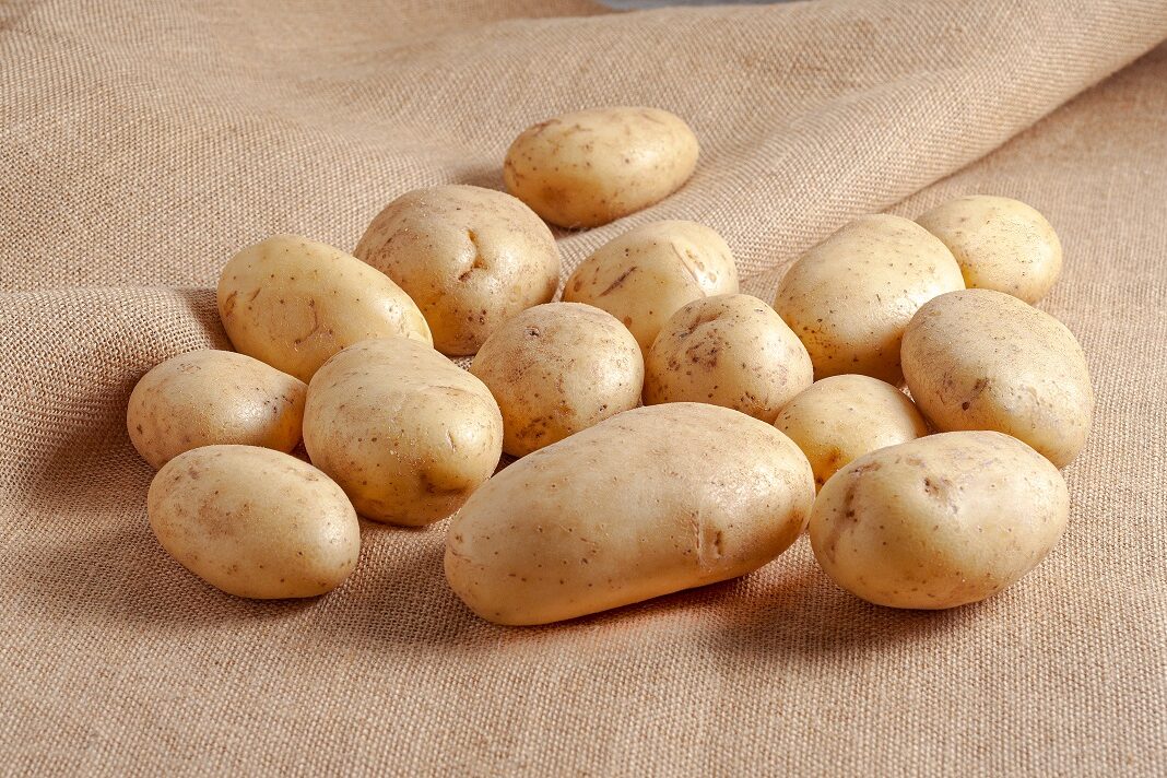Potatpes atop tablecloth.