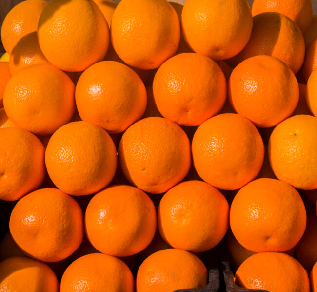 113