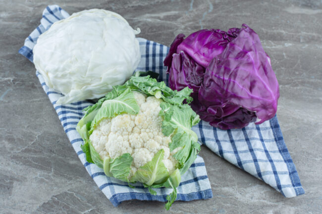 Colorful fresh organic cabbages on grey background